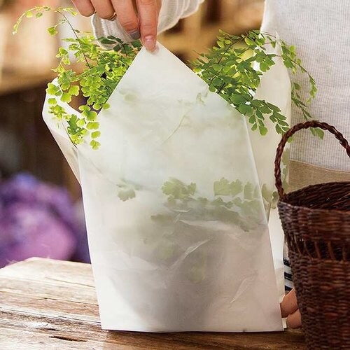 インナーバッグ−M/アイボリー 50枚×3