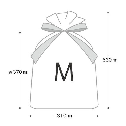 カフェオレリボン付PEギフトバッグ−M 20枚×2