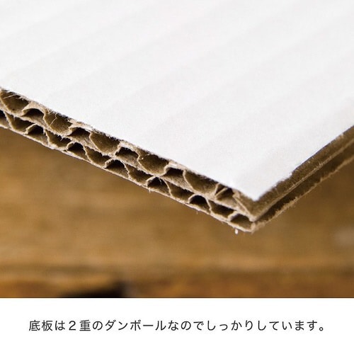 クラシックフロストバッグ−SS 10枚×2