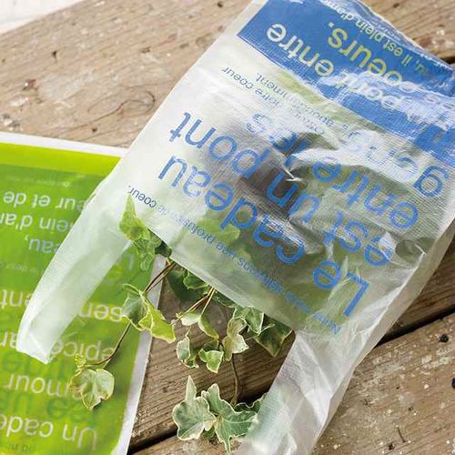 ニューブルー&グリーンレジバッグ−S100枚×10