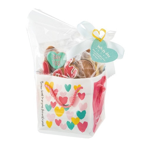 パステルハートキューブバッグ−2 20枚×2