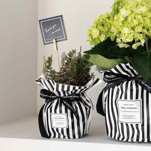 フィエルテリボン付ポットカバー−4 10枚×2