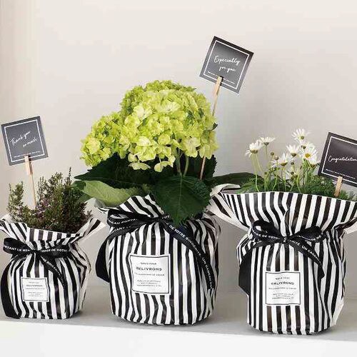 フィエルテリボン付ポットカバー−4 10枚×2