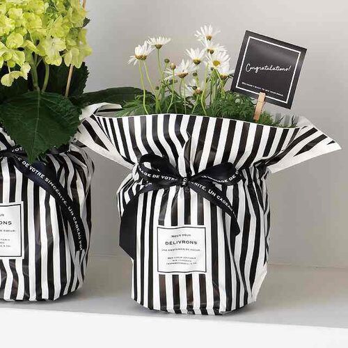 フィエルテリボン付ポットカバー−5 10枚×2