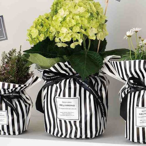 フィエルテリボン付ポットカバー−6 10枚×2