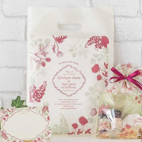 モダンリラックスPEバッグ−2 100枚