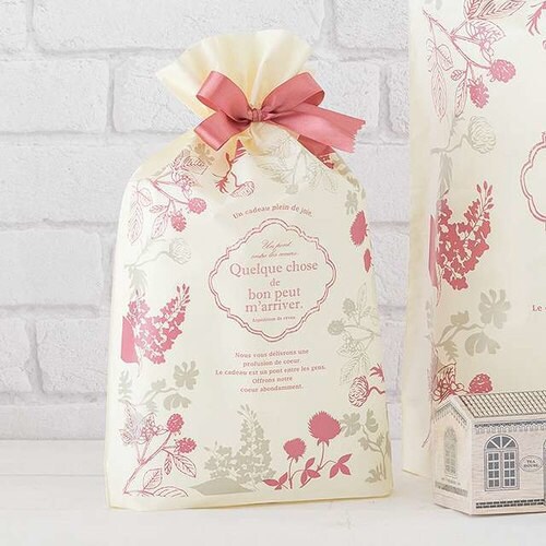 モダンリラックスリボン付PEギフトバッグ−S×2