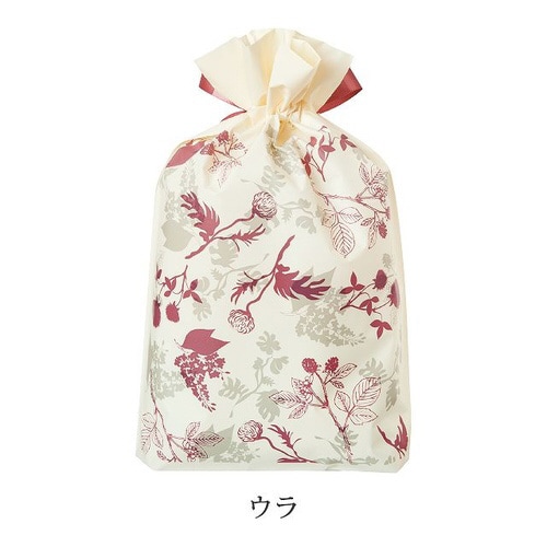 モダンリラックスリボン付PEギフトバッグ−SS×2