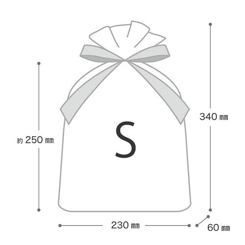 レースリボン付PEギフトバッグ−S 20枚×2