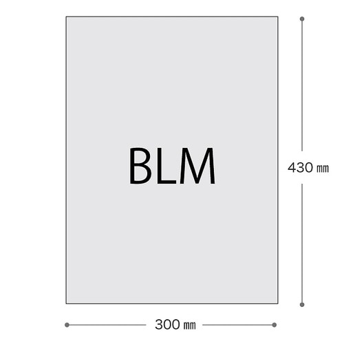 梨地バッグホワイト−LM 30枚×2