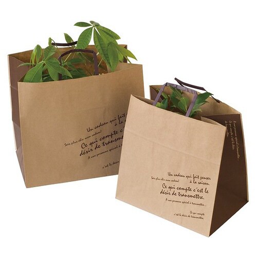 BKFブラウンペーパーバッグ−M 50枚