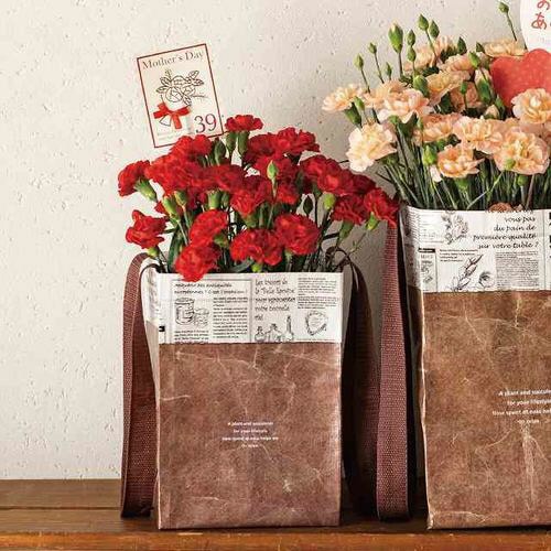 ギフトレッドハンドル付きペーパーバッグ−2 10枚