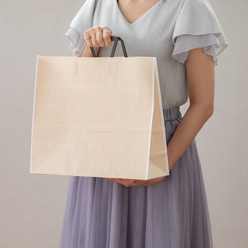 シンプルスクエアペーパーバッグ−2 50枚