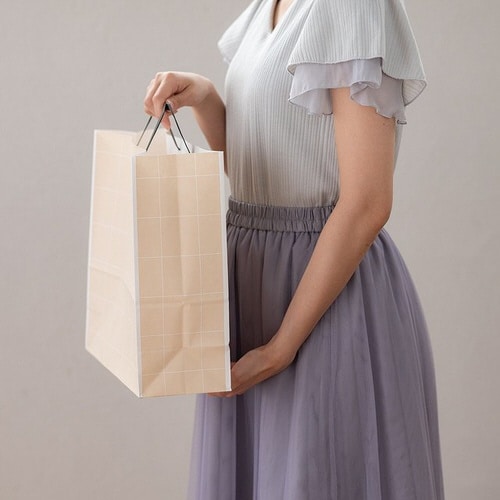 シンプルスクエアペーパーバッグ−2 50枚