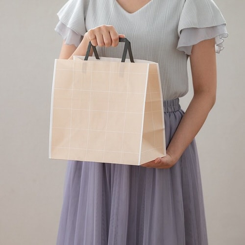 シンプルスクエアペーパーバッグ−3 50枚