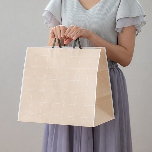 シンプルスクエアペーパーバッグ−M 50枚