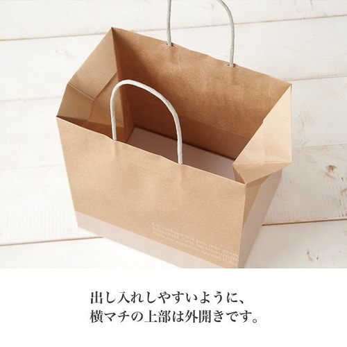 フレンチクラフトペーパーバッグ−3 10枚×2