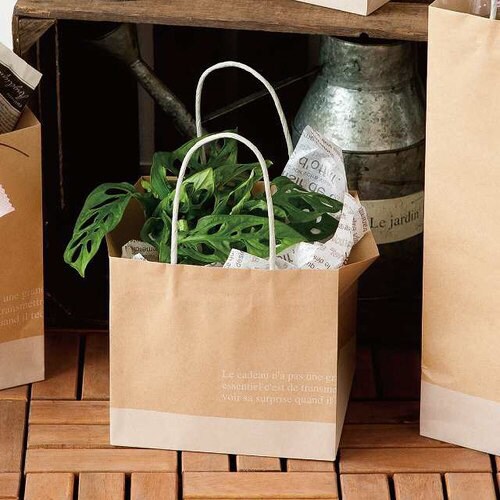 フレンチクラフトペーパーバッグ−4 10枚×2