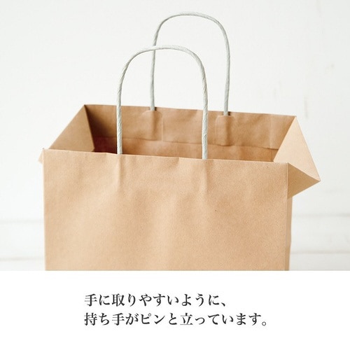 フレンチクラフトペーパーバッグ−4 10枚×2