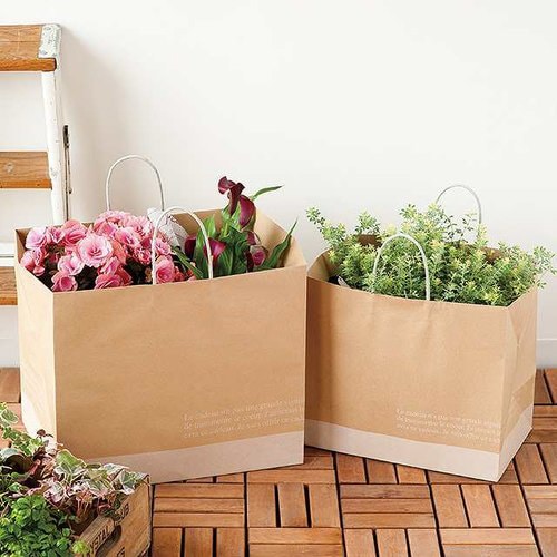 フレンチクラフトペーパーバッグ−5 10枚×2