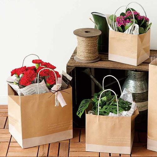 フレンチクラフトペーパーバッグ−5 10枚×2