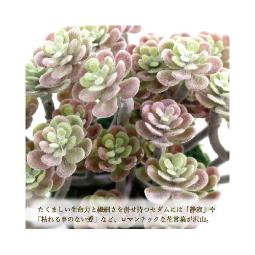lHϗtA@~j^rTCY
