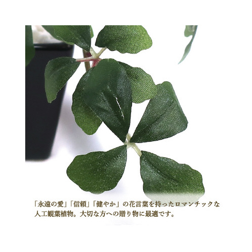 lHϗtA@~j^rTCY
