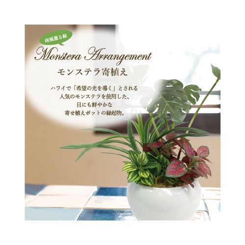 人工観葉植物モンステラ寄植えSサイズ