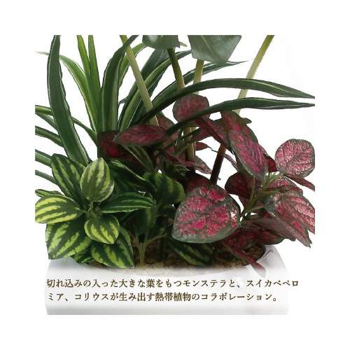 人工観葉植物モンステラ寄植えSサイズ