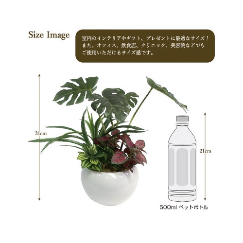 人工観葉植物モンステラ寄植えSサイズ