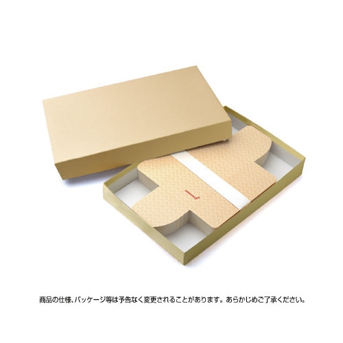商品券箱 横型のし付 折込式無字 100枚