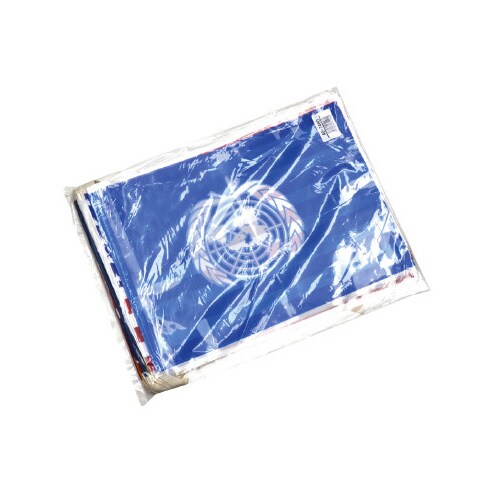 万国旗 20ケ国・20枚付き