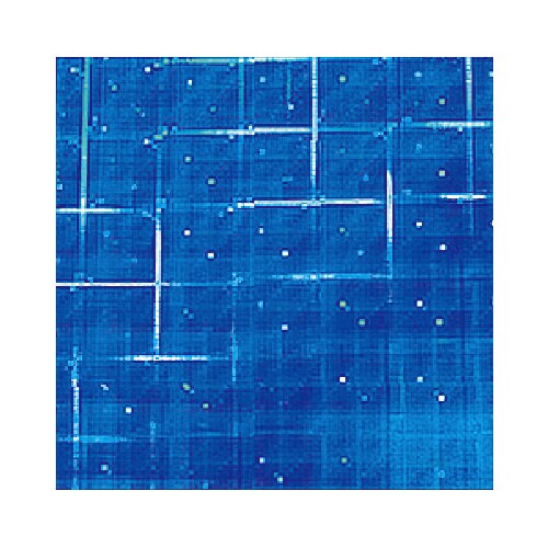 <ひらめきッズ>いろいろがみ