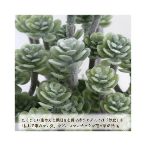lHϗtA@~j^rTCY