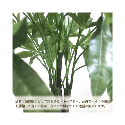 lHϗtA@kTCY