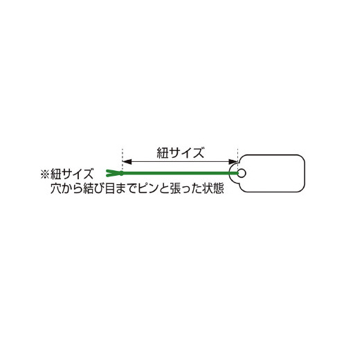 pbND@pێlp^