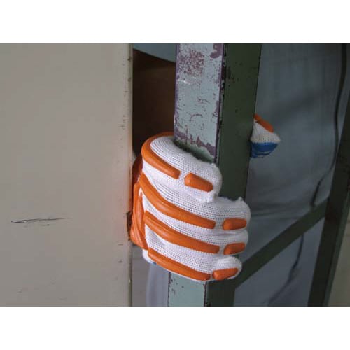 プロテコーライン 10双入