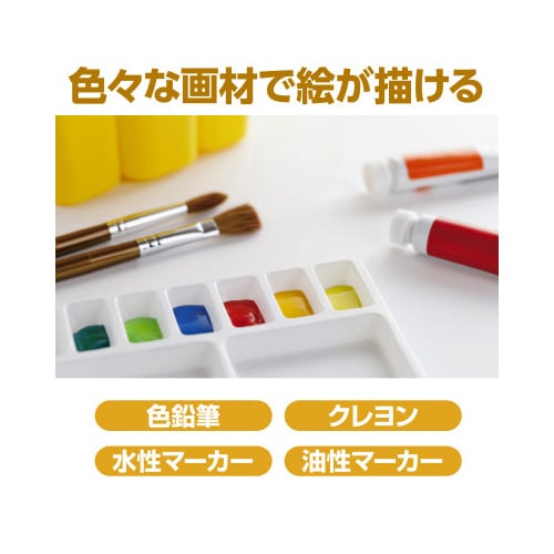 作品収納ケース 2cmマチ付き 大