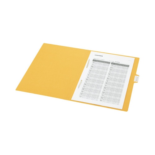 雑フォルダーA4 ×20冊