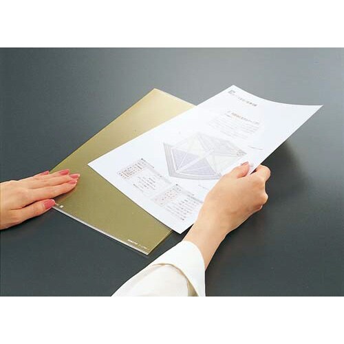 クリヤホルダ<カラーズ>A4オーシャングリーン×5