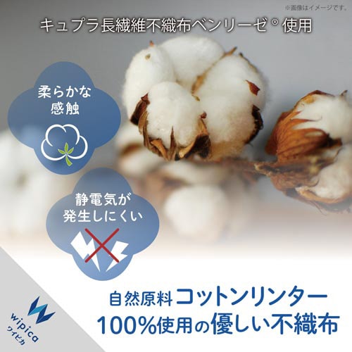 除菌ウェットティッシュ 大判 20枚×5