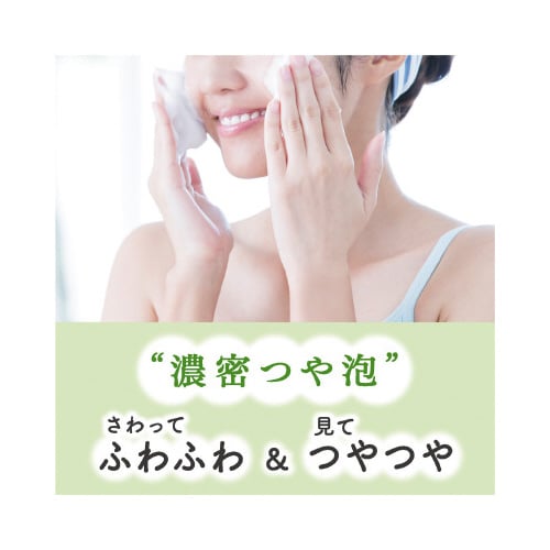 フィエスタ 洗顔・手洗いフォーム2L