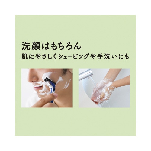 フィエスタ 洗顔・手洗いフォーム2L