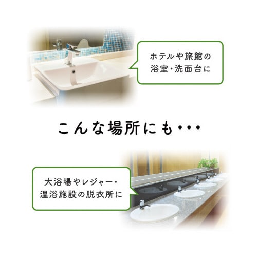 フィエスタ 洗顔・手洗いフォーム2L