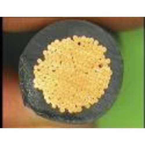 ヨーロッパサイズストリップ用替刃