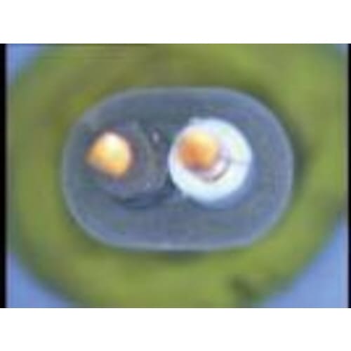 VVF線ストリッピングセット