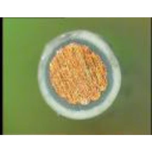 PTTE線ストリッピングセット