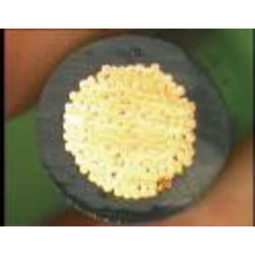 ヨーロッパサイズストリッピングセット