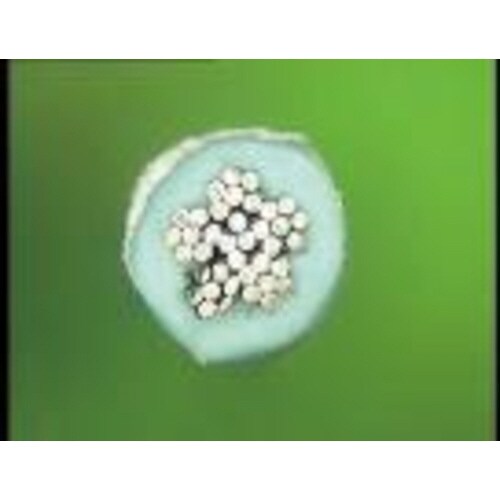 PTTE線ストリップ用替刃