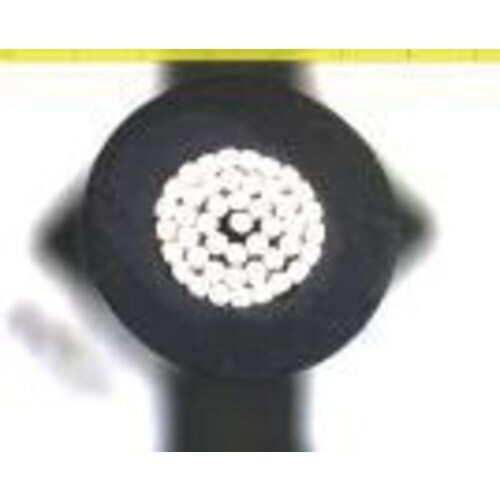 ヨーロッパサイズストリップ用替刃